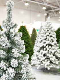 Ægte eller kunstigt juletræ? Sådan vælger & pynter du dit juletræ i år
